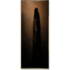 THE SENTINEL